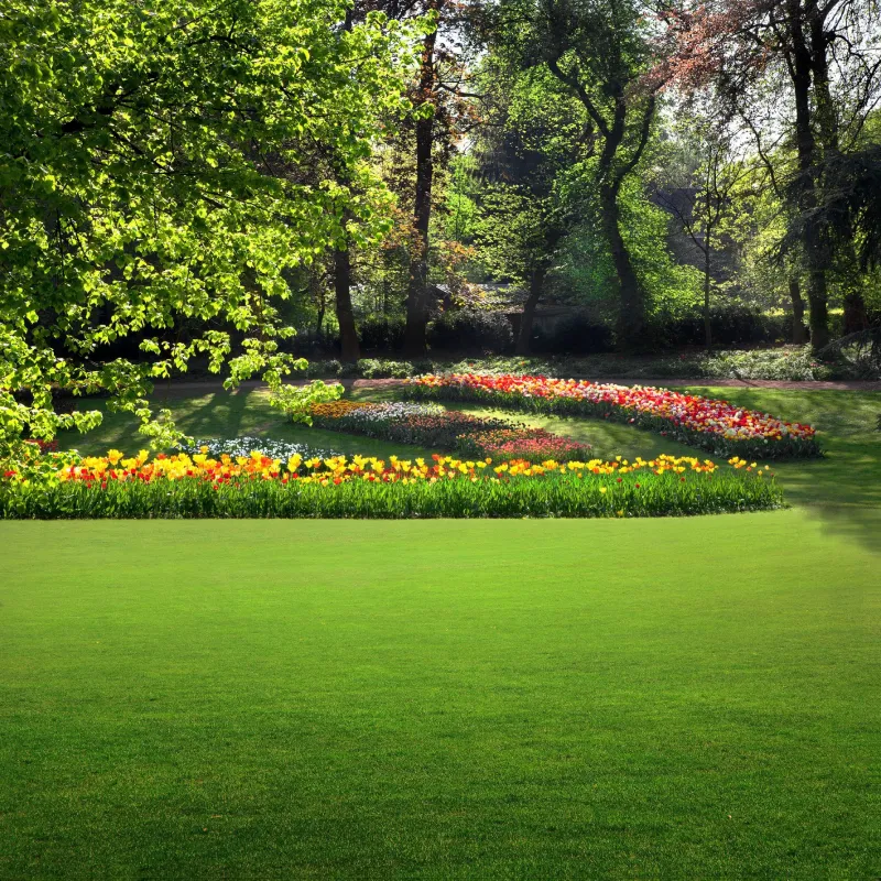 Ashiyana garden